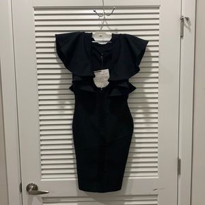 Exclusive New York & Company Dress